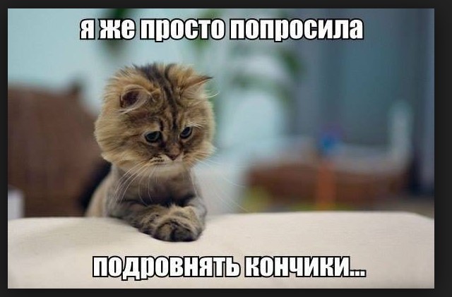 Я же просто попросила подровнять кончики